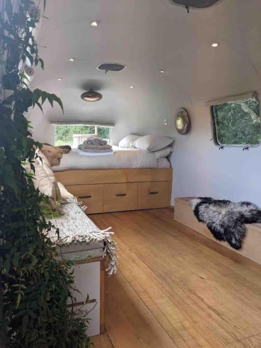 Airstream, Vintage American Caravan & Hottub Ashburton Eksteriør billede